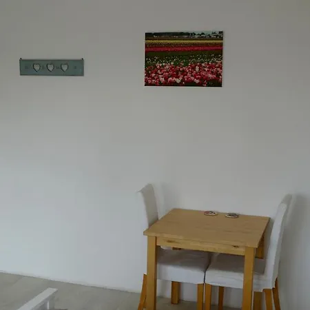 De Schelp Guest house